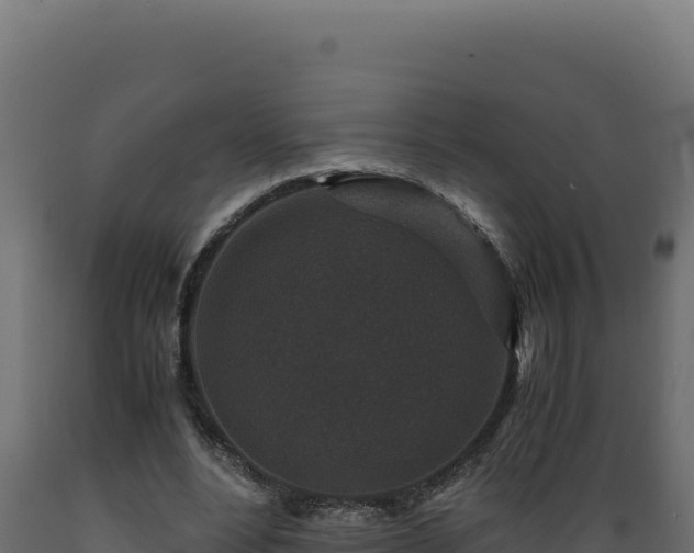 X0000089950488200707061123