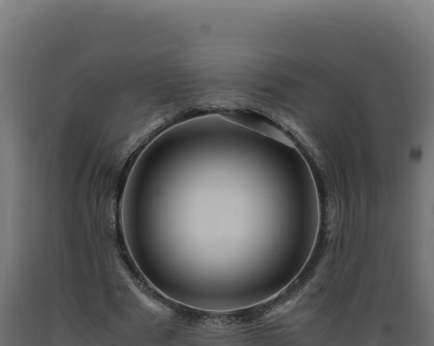 X0000089950489200707061123