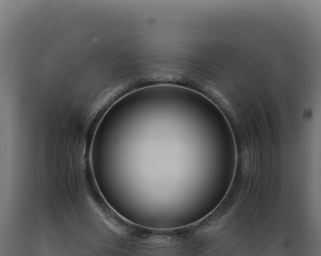 X0000089950490200707061123