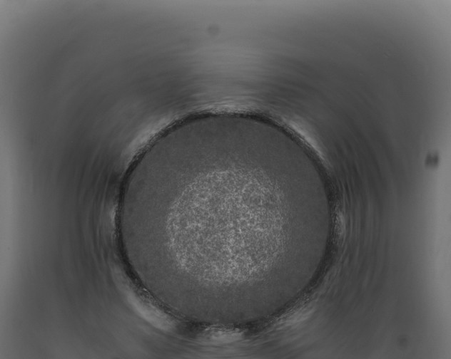 X0000089950491200707061123