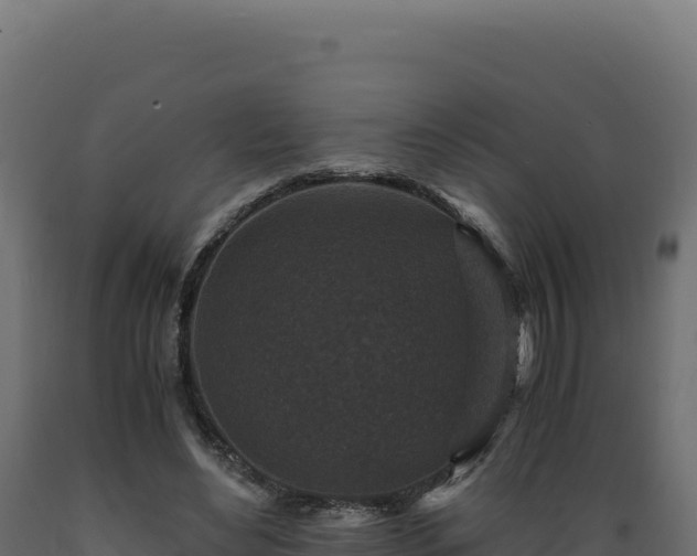 X0000089950492200707061123