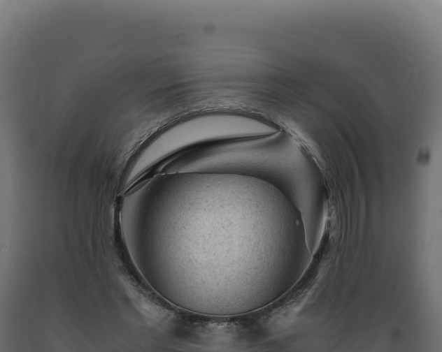 X0000089950493200707061123