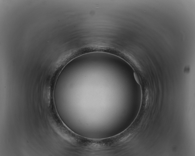 X0000089950494200707061123