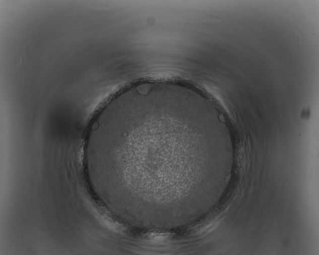 X0000089950495200707061123