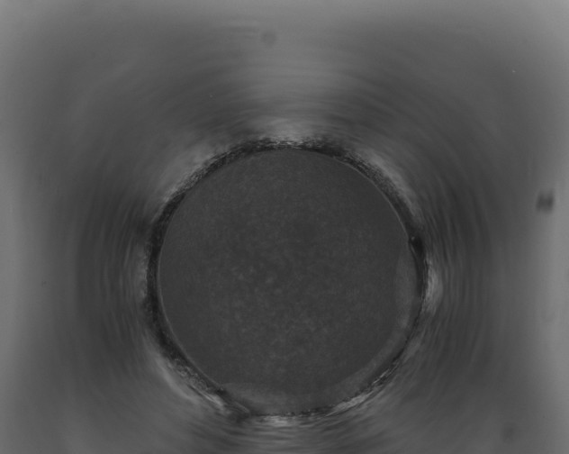 X0000089950496200707061123