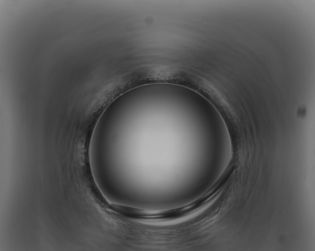 X0000089950497200707061123
