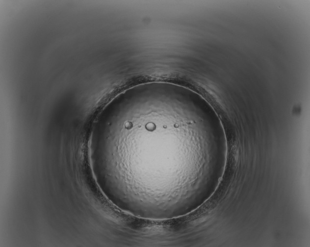 X0000089950499200707061123