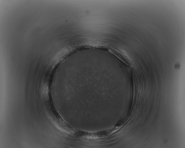 X0000089950500200707061123