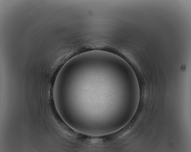 X0000089950501200707061123