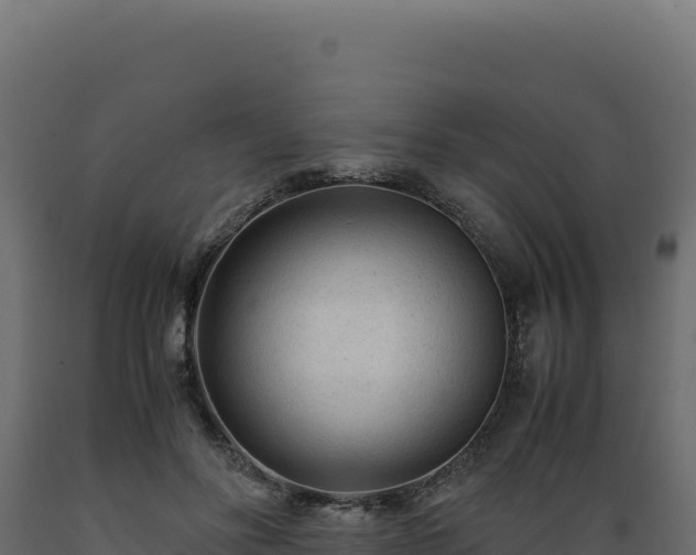 X0000089950502200707061123