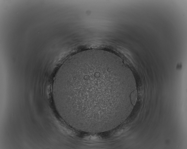 X0000089950503200707061123