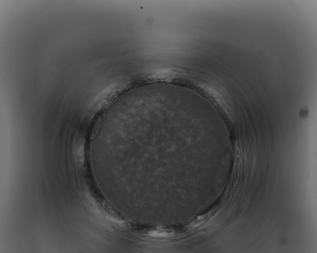 X0000089950504200707061123