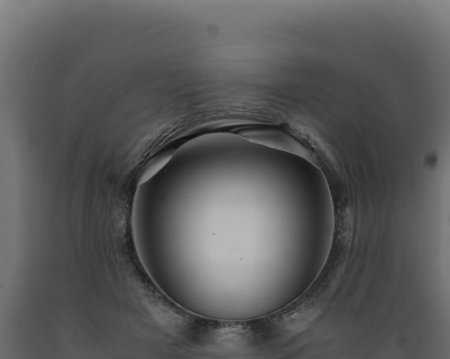X0000089950505200707061123
