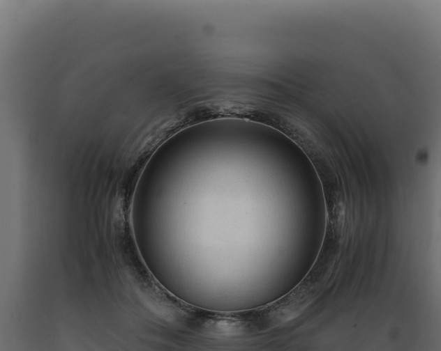 X0000089950506200707061123