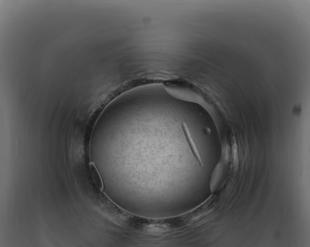 X0000089950508200707061123
