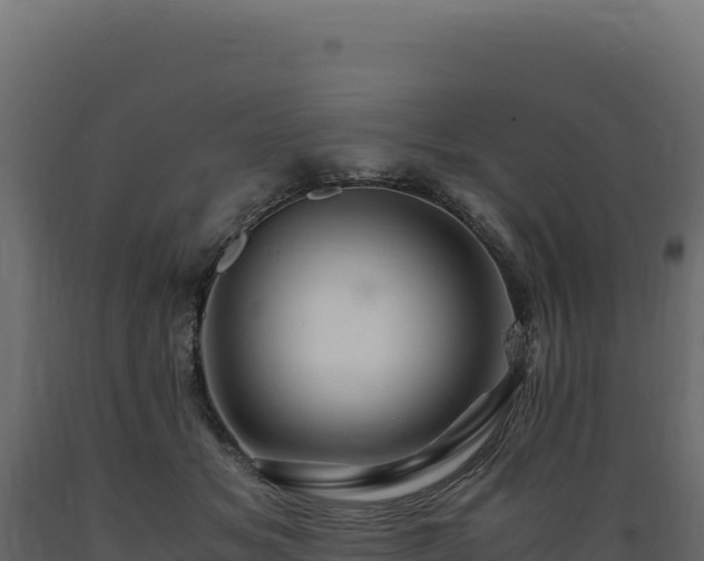 X0000089950509200707061123