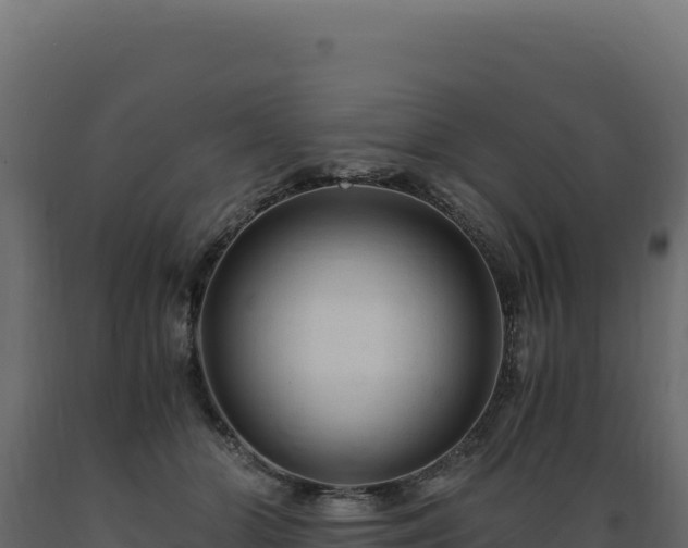 X0000089950510200707061123