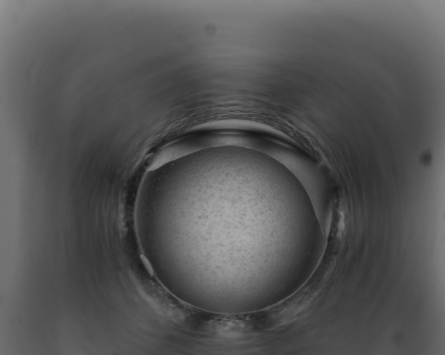 X0000089950512200707061123