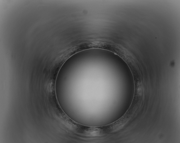 X0000089950514200707061123