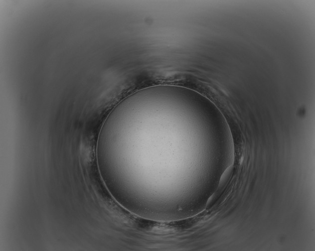 X0000089950515200707061123