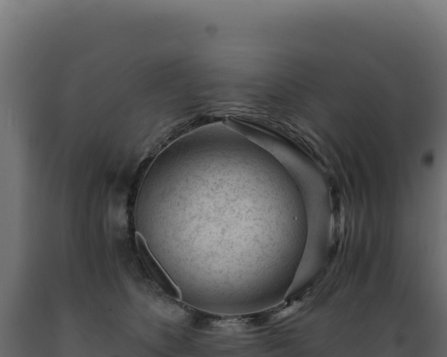 X0000089950516200707061123