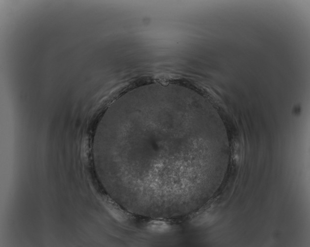 X0000089950519200707061123