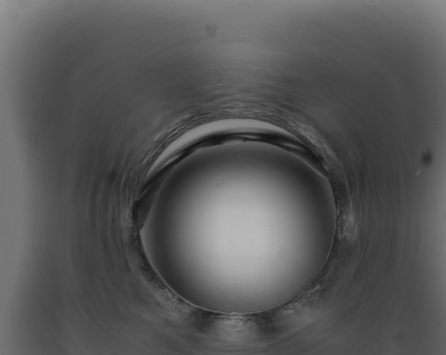 X0000089950521200707061123