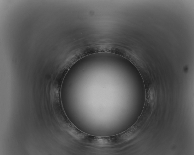 X0000089950522200707061123