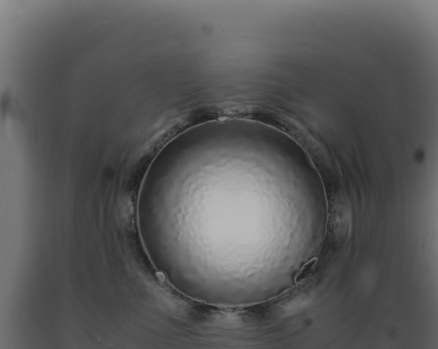 X0000089950523200707061123