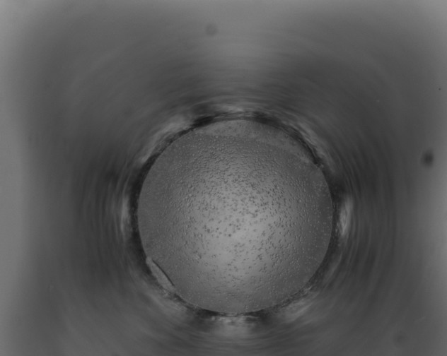 X0000089950524200707061123