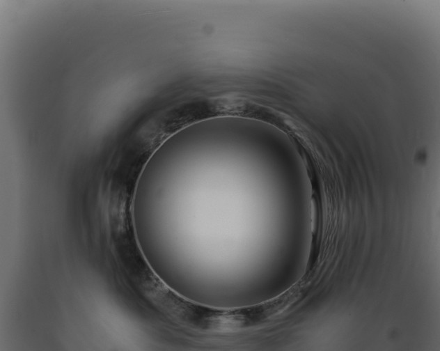 X0000089950525200707061123