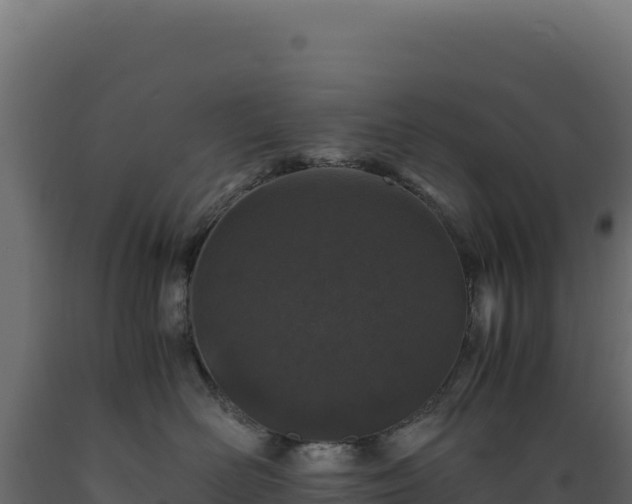 X0000089950526200707061123