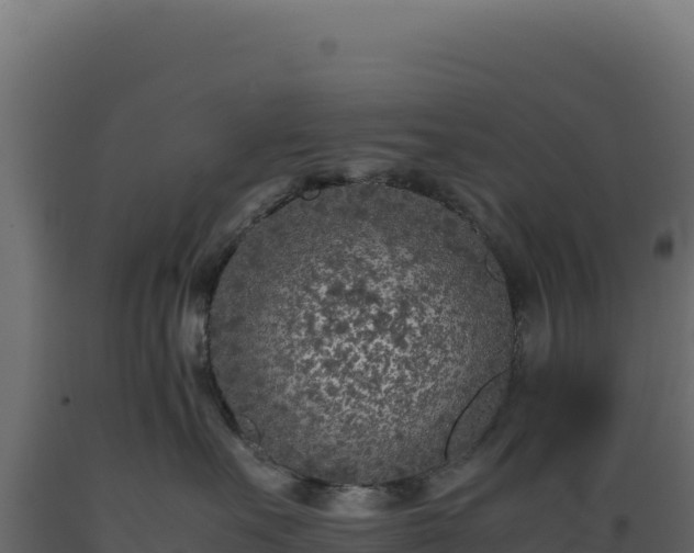 X0000089950527200707061123