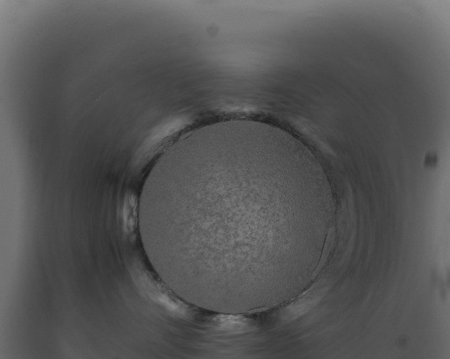 X0000089950528200707061123
