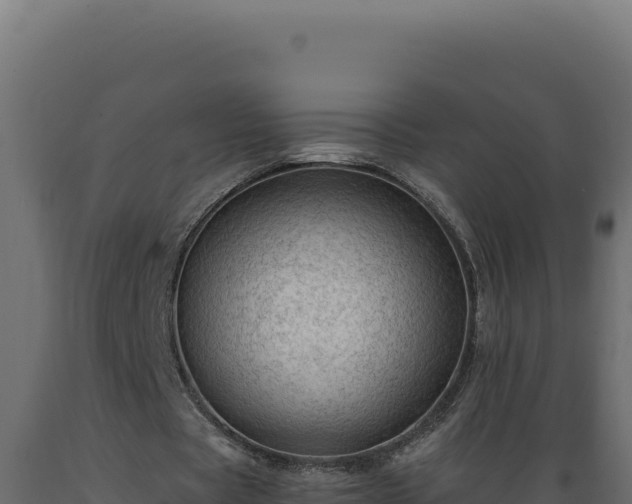 X0000089950529200707061122