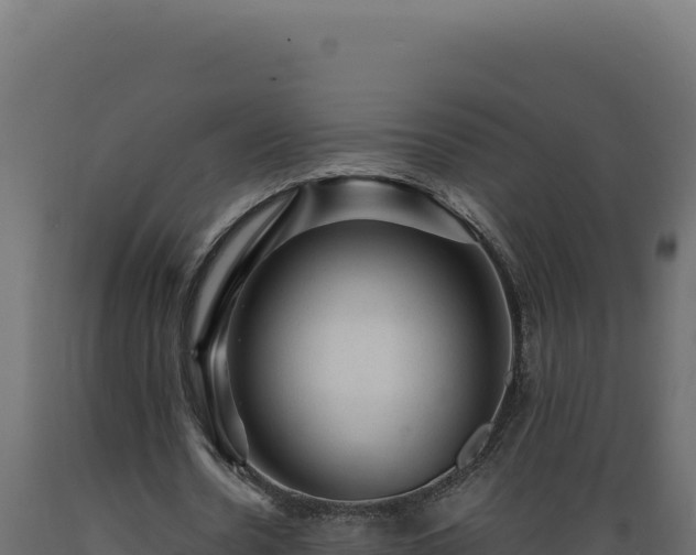 X0000089950530200707061122