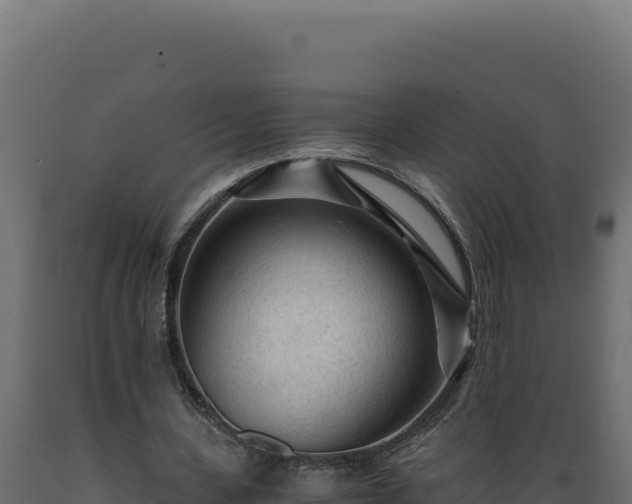 X0000089950531200707061122