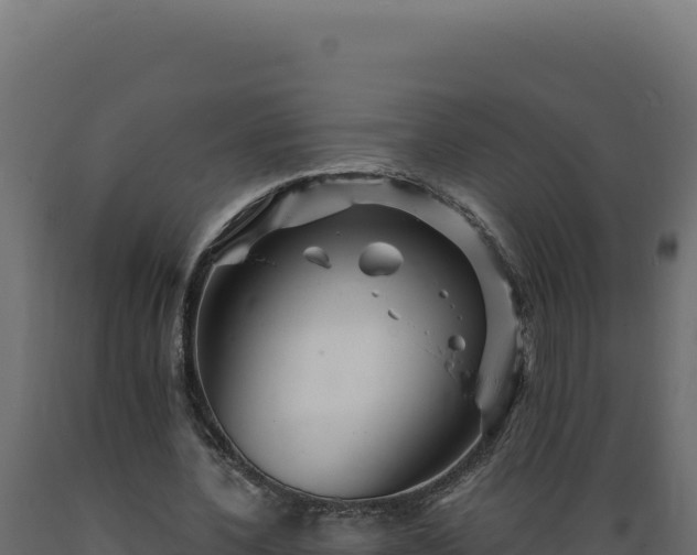 X0000089950532200707061122