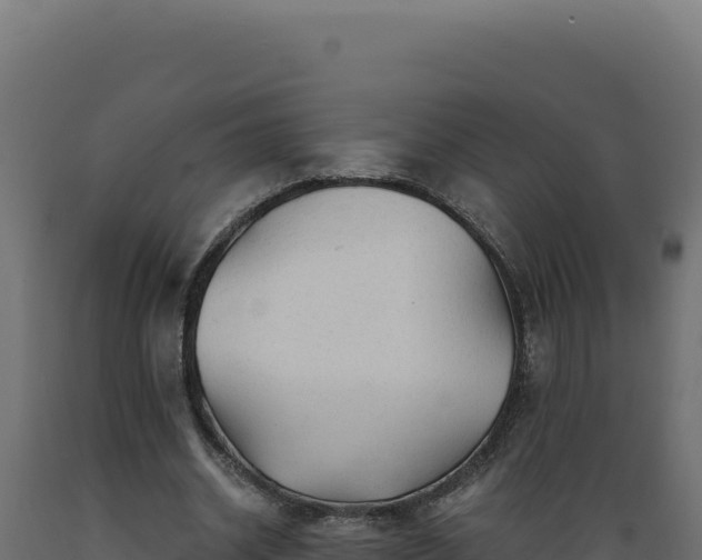 X0000089950534200707061122