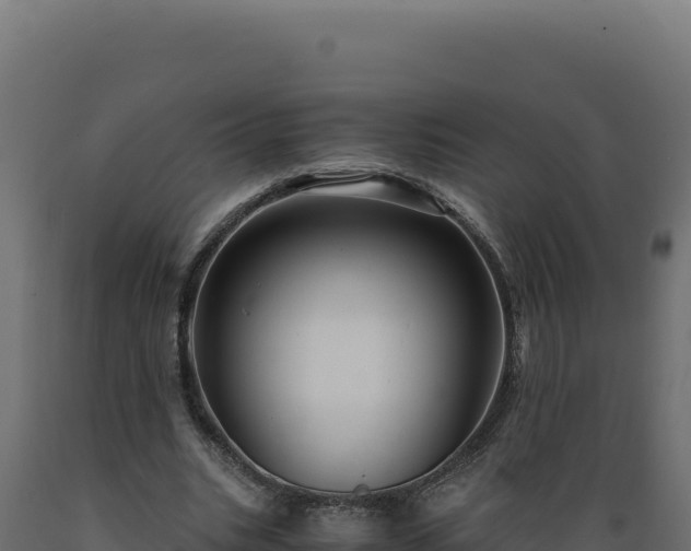 X0000089950535200707061122