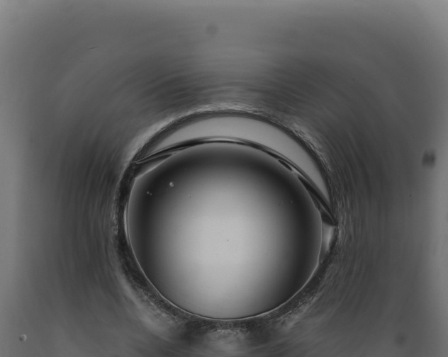 X0000089950536200707061122