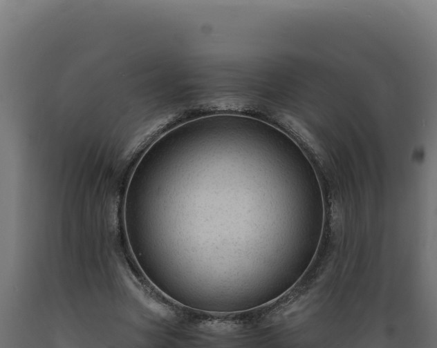 X0000089950537200707061122