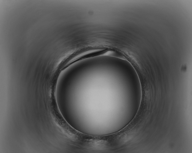 X0000089950539200707061122