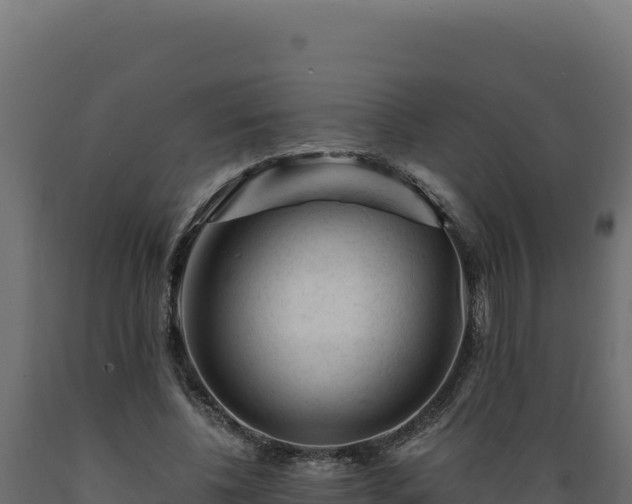 X0000089950540200707061122