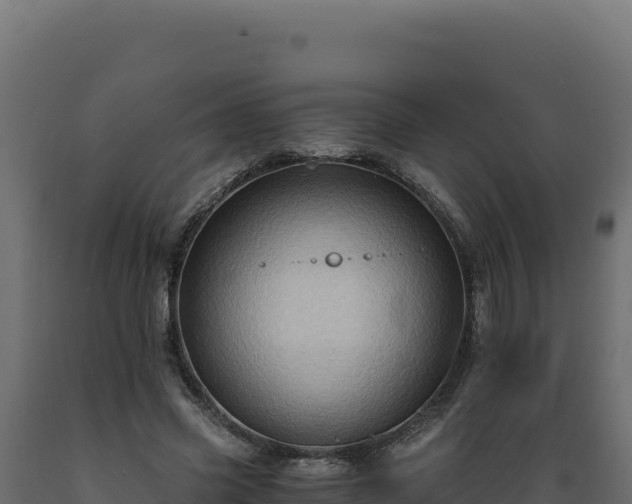 X0000089950541200707061122