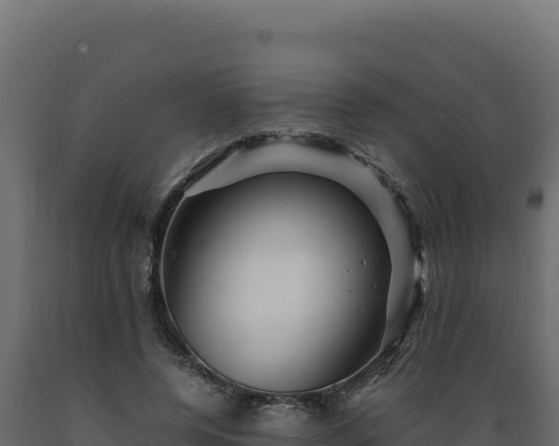 X0000089950544200707061122