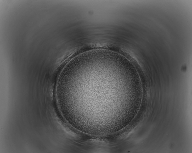 X0000089950545200707061122