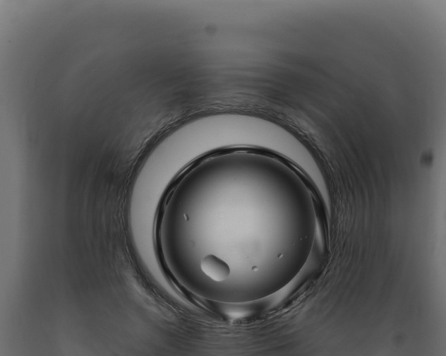 X0000089950546200707061122