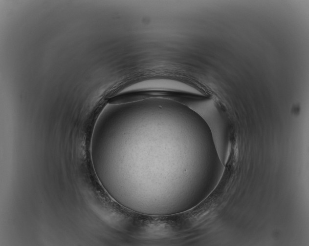 X0000089950547200707061122
