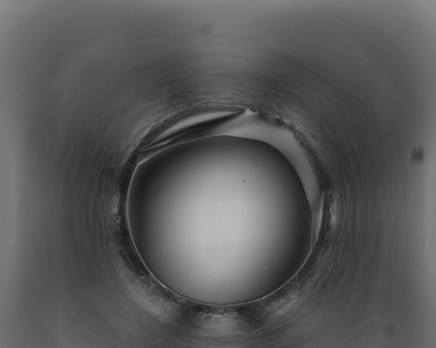 X0000089950548200707061122